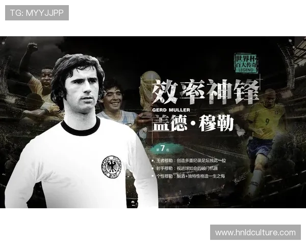 辽宁足球明星队队员精彩介绍与个人成就分析