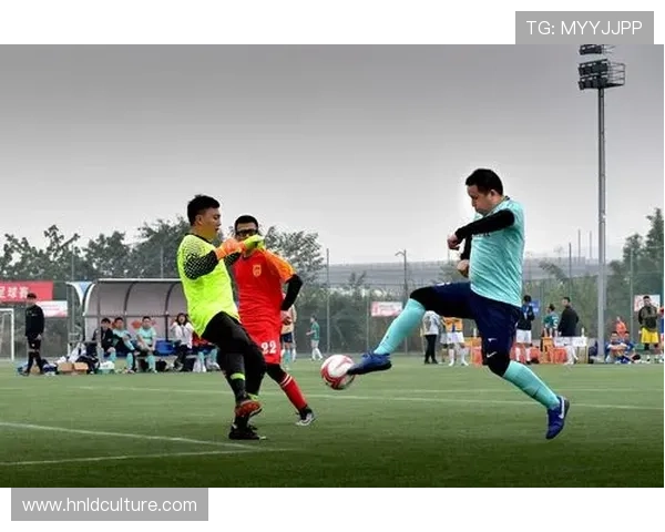 迪亚多纳足球明星的传奇人生与场上风采全解析