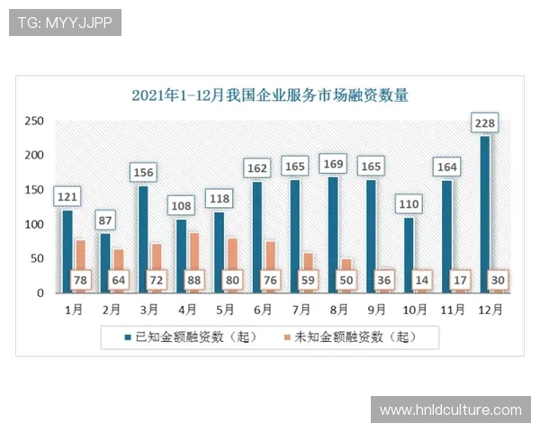 重庆羽毛球队的运营模式与发展策略深度分析