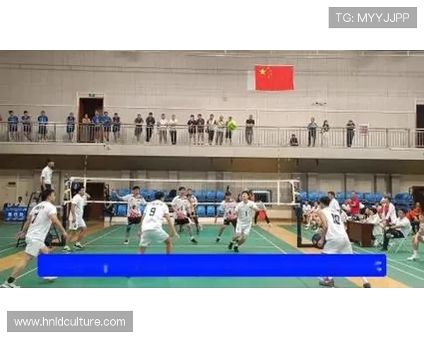 武汉排球队逆袭之旅的真实记录与奋斗精神展现