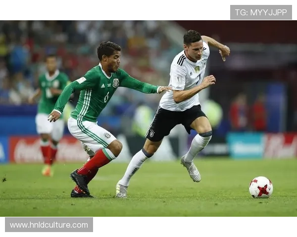 成都网球队在联合会杯中的团队协作表现分析与点评